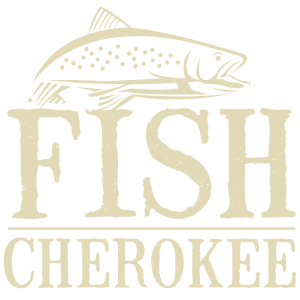 Volunteer/Events Management System